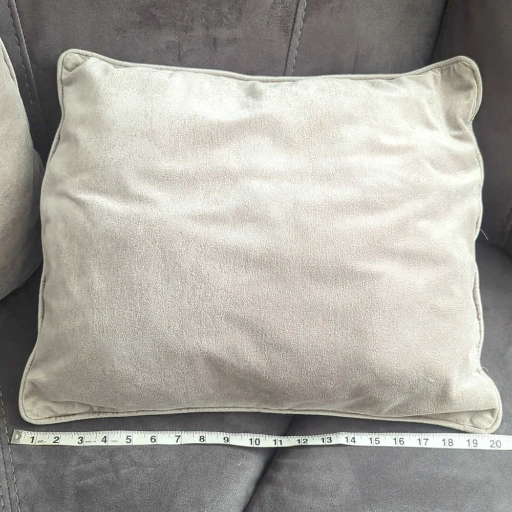 2 velvet pillows